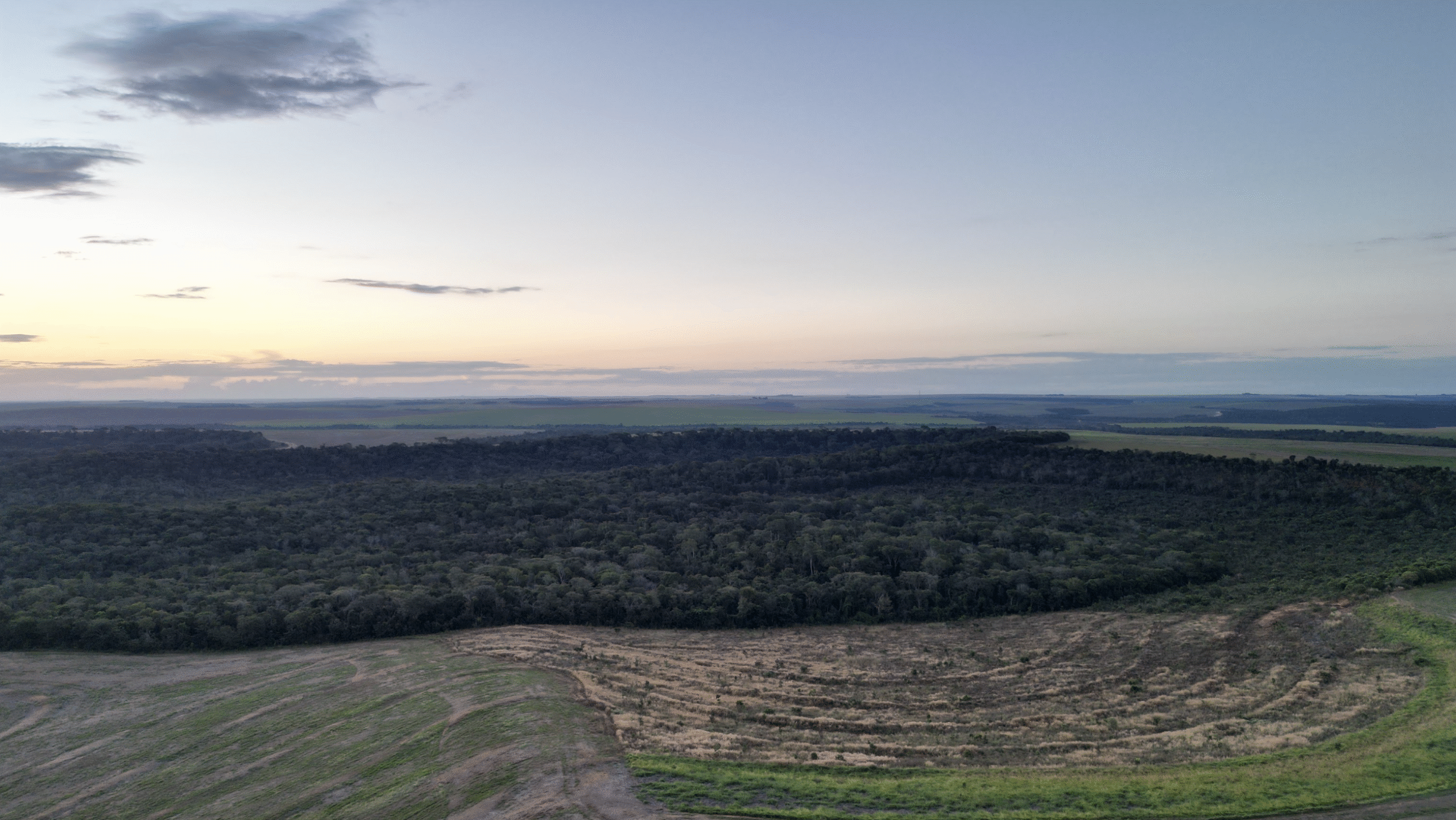 Spreading basalt rock powder across Brazilian farmland to improve soil health and capture carbon.